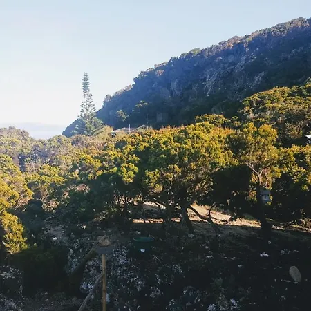 Casa Do Cagarro São Roque do Pico