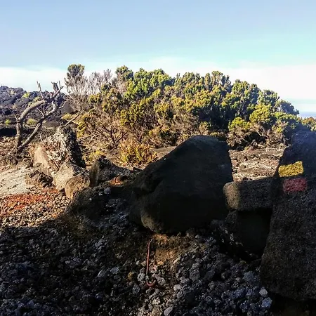 Casa Do Cagarro * São Roque do Pico