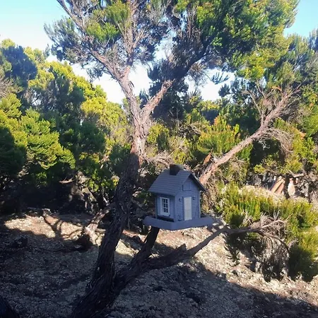 Casa Do Cagarro Сasa de vacaciones
