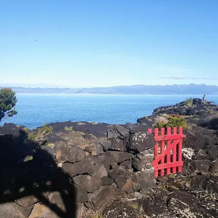 Casa Do Cagarro