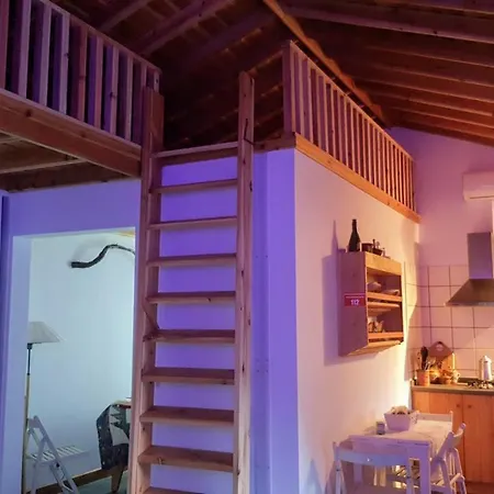Casa Do Cagarro *