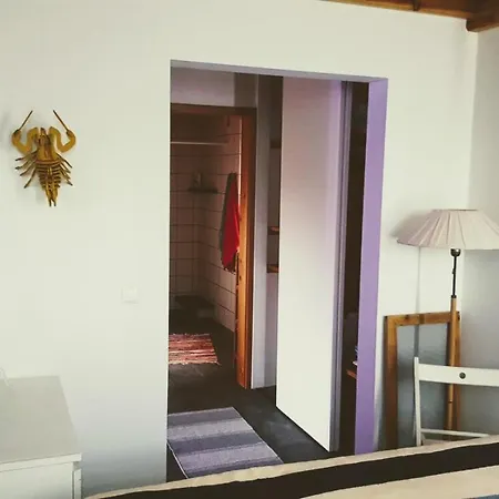 Casa Do Cagarro São Roque do Pico