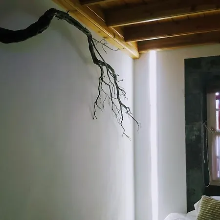 Casa Do Cagarro Сasa de vacaciones *