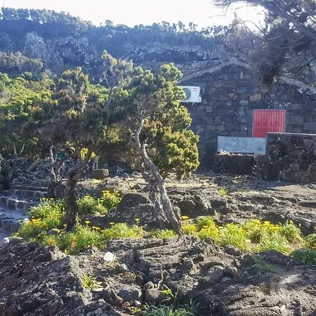 度假居 Casa Do Cagarro *